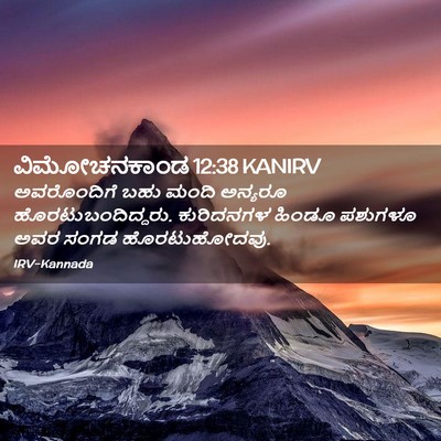 Picture 02 - ವಿಮೋಚನಕಾಂಡ 12:38 KANIRV - ಅವರೊಂದಿಗೆ ಬಹು - Bible Verse Picture