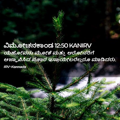 Picture 02 - ವಿಮೋಚನಕಾಂಡ 12:50 KANIRV - ಯೆಹೋವನು ಮೋಶೆ - Bible Verse Picture