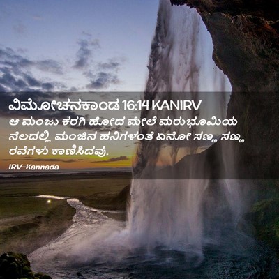 Picture 02 - ವಿಮೋಚನಕಾಂಡ 16:14 KANIRV - ಆ ಮಂಜು ಕರಗಿ ಹೋದ - Bible Verse Picture