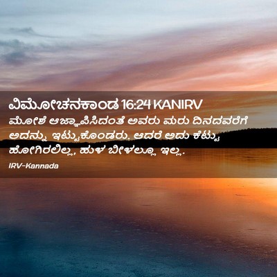 Picture 02 - ವಿಮೋಚನಕಾಂಡ 16:24 KANIRV - ಮೋಶೆ - Bible Verse Picture