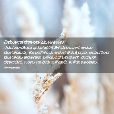 Picture 02 - ವಿಮೋಚನಕಾಂಡ 2:15 KANIRV - ನಡೆದ ಸಂಗತಿಯು - Bible Verse Picture