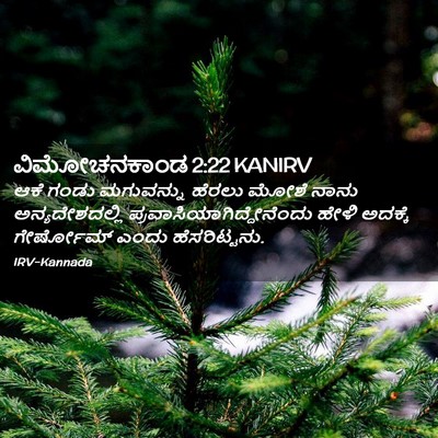 Picture 02 - ವಿಮೋಚನಕಾಂಡ 2:22 KANIRV - ಆಕೆ ಗಂಡು ಮಗುವನ್ನು - Bible Verse Picture