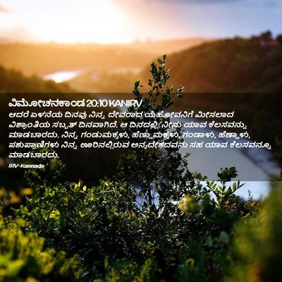 Picture 02 - ವಿಮೋಚನಕಾಂಡ 20:10 KANIRV - ಆದರೆ ಏಳನೆಯ ದಿನವು - Bible Verse Picture
