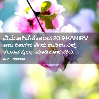 Picture 02 - ವಿಮೋಚನಕಾಂಡ 20:9 KANIRV - ಆರು ದಿನಗಳು ನೀನು - Bible Verse Picture