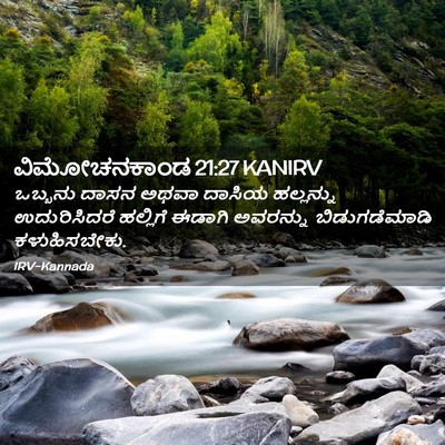 Picture 02 - ವಿಮೋಚನಕಾಂಡ 21:27 KANIRV - ಒಬ್ಬನು ದಾಸನ ಅಥವಾ - Bible Verse Picture