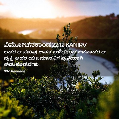 Picture 02 - ವಿಮೋಚನಕಾಂಡ 22:12 KANIRV - ಆದರೆ ಆ ಪಶುವು ಅವನ - Bible Verse Picture