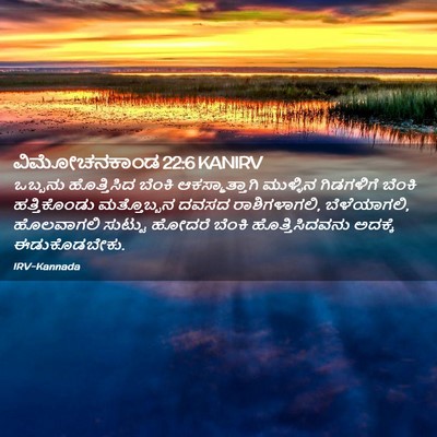 Picture 02 - ವಿಮೋಚನಕಾಂಡ 22:6 KANIRV - ಒಬ್ಬನು ಹೊತ್ತಿಸಿದ - Bible Verse Picture