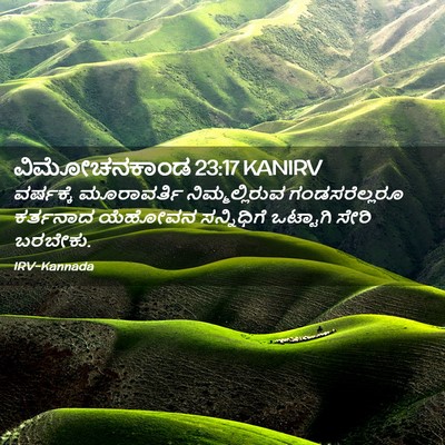 Picture 02 - ವಿಮೋಚನಕಾಂಡ 23:17 KANIRV - ವರ್ಷಕ್ಕೆ - Bible Verse Picture