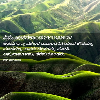 Picture 02 - ವಿಮೋಚನಕಾಂಡ 24:11 KANIRV - ಆತನು ಇಸ್ರಾಯೇಲರ - Bible Verse Picture