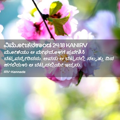 Picture 02 - ವಿಮೋಚನಕಾಂಡ 24:18 KANIRV - ಮೋಶೆಯು ಆ ಮೇಘದೊಳಗೆ - Bible Verse Picture