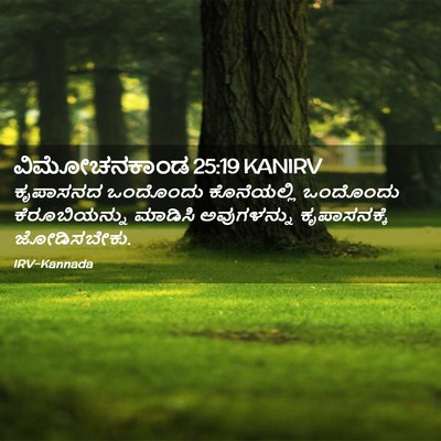 Picture 02 - ವಿಮೋಚನಕಾಂಡ 25:19 KANIRV - ಕೃಪಾಸನದ ಒಂದೊಂದು - Bible Verse Picture