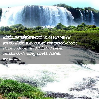 Picture 02 - ವಿಮೋಚನಕಾಂಡ 25:9 KANIRV - ನಾನು ನಿನಗೆ - Bible Verse Picture