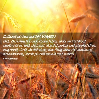 Picture 02 - ವಿಮೋಚನಕಾಂಡ 26:1 KANIRV - ನನ್ನ ನಿವಾಸಕ್ಕಾಗಿ - Bible Verse Picture