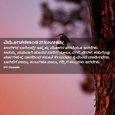 Picture 02 - ವಿಮೋಚನಕಾಂಡ 27:16 KANIRV - ಅಂಗಳದ ಬಾಗಿಲಲ್ಲೇ - Bible Verse Picture