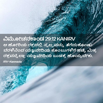 Picture 02 - ವಿಮೋಚನಕಾಂಡ 29:12 KANIRV - ಆ ಹೋರಿಯ ರಕ್ತದಲ್ಲಿ - Bible Verse Picture