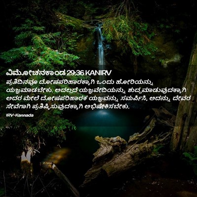 Picture 02 - ವಿಮೋಚನಕಾಂಡ 29:36 KANIRV - ಪ್ರತಿದಿನವೂ - Bible Verse Picture