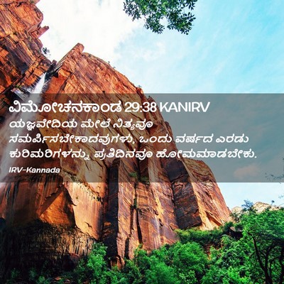 Picture 02 - ವಿಮೋಚನಕಾಂಡ 29:38 KANIRV - ಯಜ್ಞವೇದಿಯ ಮೇಲೆ - Bible Verse Picture