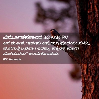 Picture 02 - ವಿಮೋಚನಕಾಂಡ 3:3 KANIRV - ಆಗ ಮೋಶೆ, “ಇದೇನು - Bible Verse Picture