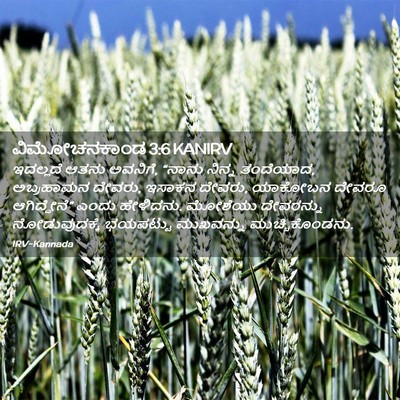 Picture 02 - ವಿಮೋಚನಕಾಂಡ 3:6 KANIRV - ಇದಲ್ಲದೆ ಆತನು - Bible Verse Picture