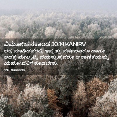 Picture 02 - ವಿಮೋಚನಕಾಂಡ 30:14 KANIRV - ಲೆಕ್ಕ ಮಾಡಿದವರಲ್ಲಿ - Bible Verse Picture