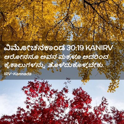 Picture 02 - ವಿಮೋಚನಕಾಂಡ 30:19 KANIRV - ಆರೋನನೂ ಅವನ ಮಕ್ಕಳೂ - Bible Verse Picture
