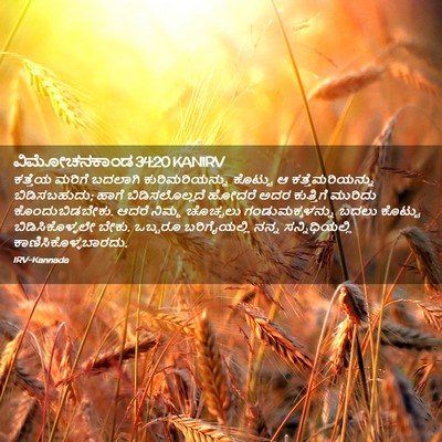 Picture 02 - ವಿಮೋಚನಕಾಂಡ 34:20 KANIRV - ಕತ್ತೆಯ ಮರಿಗೆ - Bible Verse Picture