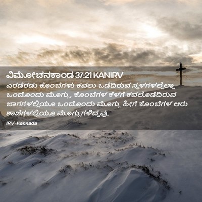 Picture 02 - ವಿಮೋಚನಕಾಂಡ 37:21 KANIRV - ಎರಡೆರಡು ಕೊಂಬೆಗಳು - Bible Verse Picture