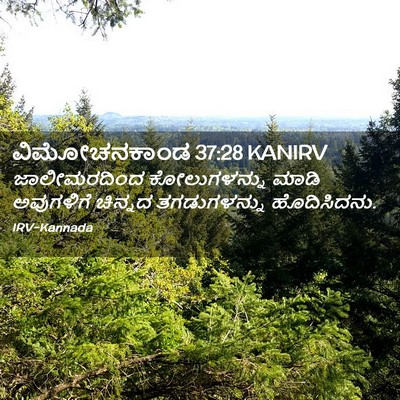 Picture 02 - ವಿಮೋಚನಕಾಂಡ 37:28 KANIRV - ಜಾಲೀಮರದಿಂದ - Bible Verse Picture