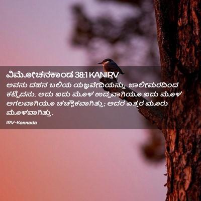 Picture 02 - ವಿಮೋಚನಕಾಂಡ 38:1 KANIRV - ಅವನು ದಹನ ಬಲಿಯ - Bible Verse Picture