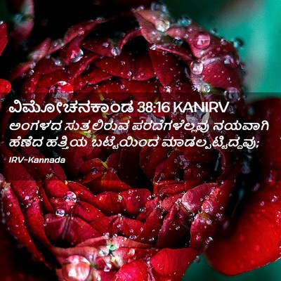 Picture 02 - ವಿಮೋಚನಕಾಂಡ 38:16 KANIRV - ಅಂಗಳದ ಸುತ್ತಲಿರುವ - Bible Verse Picture