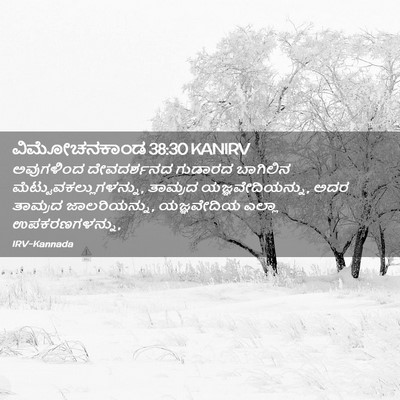 Picture 02 - ವಿಮೋಚನಕಾಂಡ 38:30 KANIRV - ಅವುಗಳಿಂದ - Bible Verse Picture