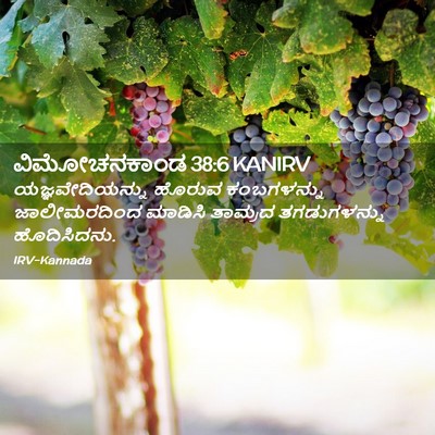 Picture 02 - ವಿಮೋಚನಕಾಂಡ 38:6 KANIRV - ಯಜ್ಞವೇದಿಯನ್ನು - Bible Verse Picture