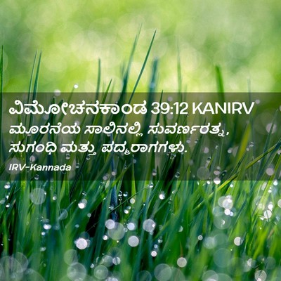 Picture 02 - ವಿಮೋಚನಕಾಂಡ 39:12 KANIRV - ಮೂರನೆಯ ಸಾಲಿನಲ್ಲಿ - Bible Verse Picture