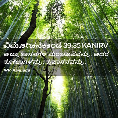 Picture 02 - ವಿಮೋಚನಕಾಂಡ 39:35 KANIRV - ಆಜ್ಞಾಶಾಸನಗಳ - Bible Verse Picture
