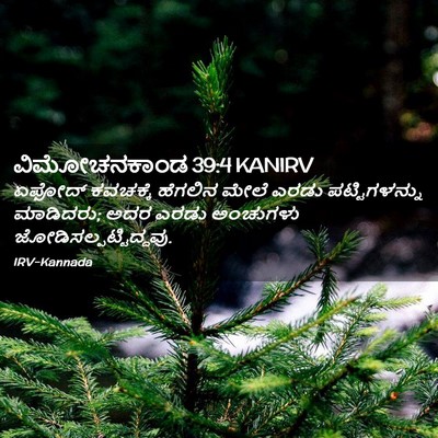Picture 02 - ವಿಮೋಚನಕಾಂಡ 39:4 KANIRV - ಏಫೋದ್ ಕವಚಕ್ಕೆ - Bible Verse Picture