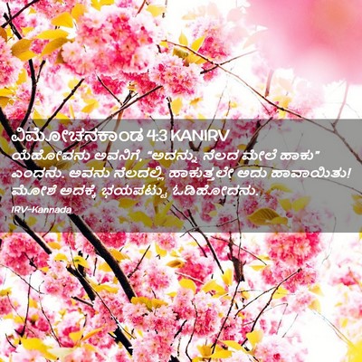 Picture 02 - ವಿಮೋಚನಕಾಂಡ 4:3 KANIRV - ಯೆಹೋವನು ಅವನಿಗೆ, - Bible Verse Picture