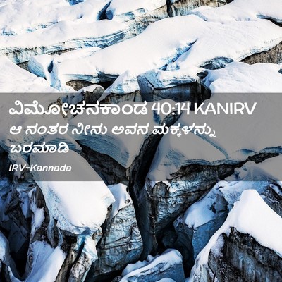 Picture 02 - ವಿಮೋಚನಕಾಂಡ 40:14 KANIRV - ಆ ನಂತರ ನೀನು ಅವನ - Bible Verse Picture