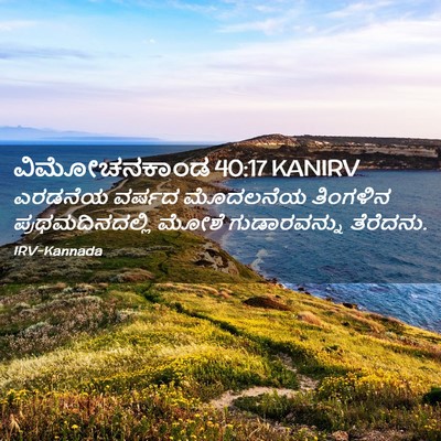 Picture 02 - ವಿಮೋಚನಕಾಂಡ 40:17 KANIRV - ಎರಡನೆಯ ವರ್ಷದ - Bible Verse Picture