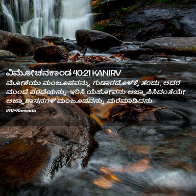 Picture 02 - ವಿಮೋಚನಕಾಂಡ 40:21 KANIRV - ಮೋಶೆಯು ಮಂಜೂಷವನ್ನು - Bible Verse Picture