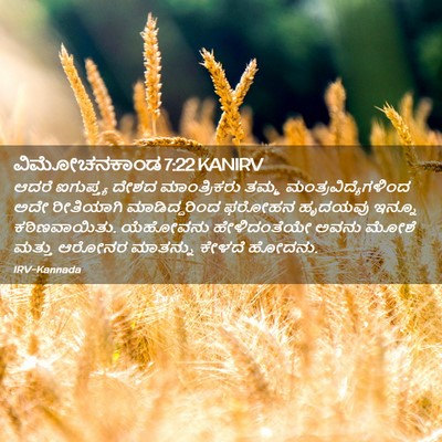 Picture 02 - ವಿಮೋಚನಕಾಂಡ 7:22 KANIRV - ಆದರೆ ಐಗುಪ್ತ್ಯ - Bible Verse Picture