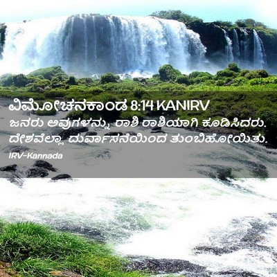 Picture 02 - ವಿಮೋಚನಕಾಂಡ 8:14 KANIRV - ಜನರು ಅವುಗಳನ್ನು - Bible Verse Picture