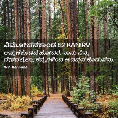 Picture 02 - ವಿಮೋಚನಕಾಂಡ 8:2 KANIRV - ಅಪ್ಪಣೆಕೊಡದೆ - Bible Verse Picture