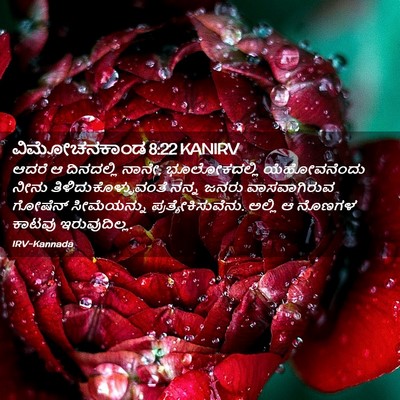 Picture 02 - ವಿಮೋಚನಕಾಂಡ 8:22 KANIRV - ಆದರೆ ಆ ದಿನದಲ್ಲಿ - Bible Verse Picture