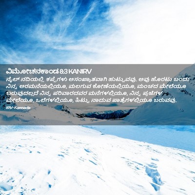 Picture 02 - ವಿಮೋಚನಕಾಂಡ 8:3 KANIRV - ನೈಲ್ ನದಿಯಲ್ಲಿ - Bible Verse Picture