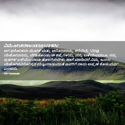 Picture 02 - ವಿಮೋಚನಕಾಂಡ 8:8 KANIRV - ಆಗ ಫರೋಹನು ಮೋಶೆ - Bible Verse Picture