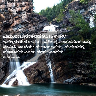 Picture 02 - ವಿಮೋಚನಕಾಂಡ 9:5 KANIRV - ಇದಲ್ಲದೆ ಯೆಹೋವನು, - Bible Verse Picture