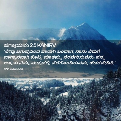 Picture 02 - ಹಗ್ಗಾಯನು 2:5 KANIRV - ‘ನೀವು ಐಗುಪ್ತದಿಂದ - Bible Verse Picture
