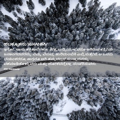 Picture 02 - ಹಬಕ್ಕೂಕನು 1:6 KANIRV - ಇಗೋ, ನಾನು - Bible Verse Picture