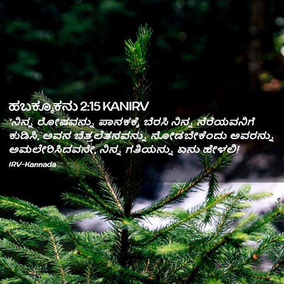 Picture 02 - ಹಬಕ್ಕೂಕನು 2:15 KANIRV - ‘ನಿನ್ನ ರೋಷವನ್ನು - Bible Verse Picture