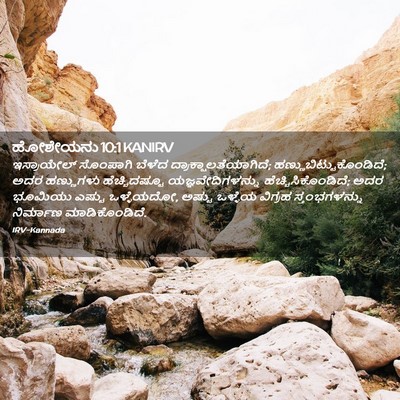 Picture 02 - ಹೋಶೇಯನು 10:1 KANIRV - ಇಸ್ರಾಯೇಲ್ ಸೊಂಪಾಗಿ - Bible Verse Picture